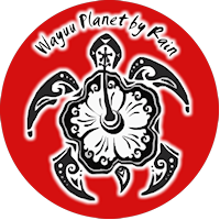 Wayuu Planet